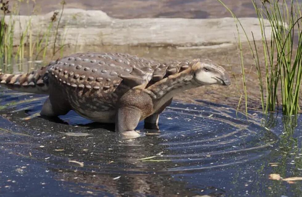 Descubrieron en Río Negro restos de un nuevo dinosaurio que vivió hace 70 millones de años allí