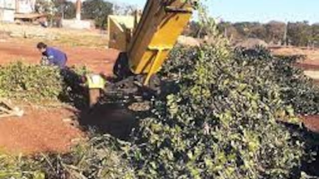 Entregaron a productores agroecológicos ramas chipiadas de las localidades de General Alvear y Colonia Guaraní.
