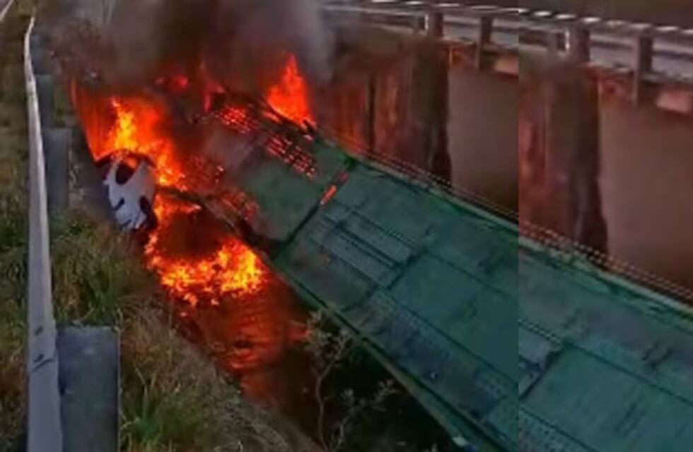 VIDEO | Un camión mosquito cayó de un puente, se incendió y el chofer murió calcinado
