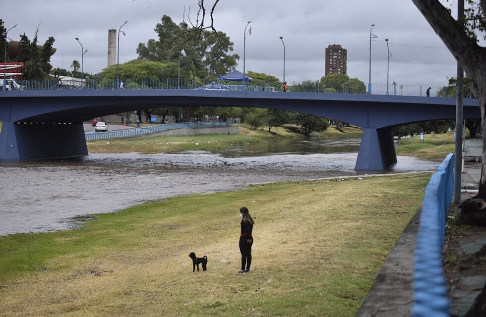 Insólito en Córdoba: sospechan que un joven amaestró a su perro para atacar y así poder robar a las víctimas