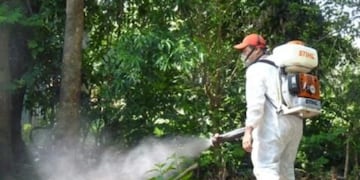 Detectan dos casos de chikungunya en Puerto Iguazú.