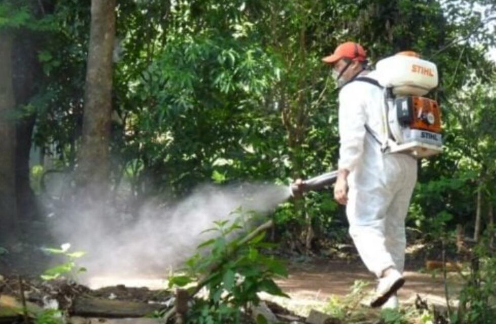 Siguen en aumento los casos de chikungunya en Misiones