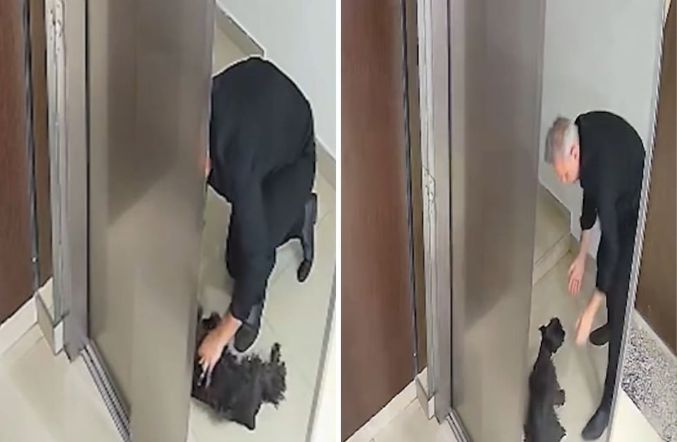 El impactante video del perro que quedó colgando de un ascensor: un vecino lo salvó mediante RCP