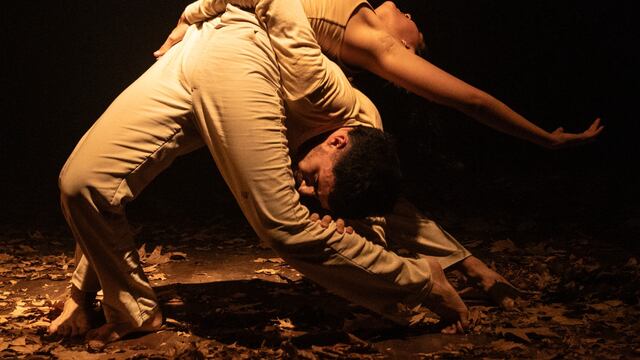 Actividades para celebrar el Día Internacional de la Danza