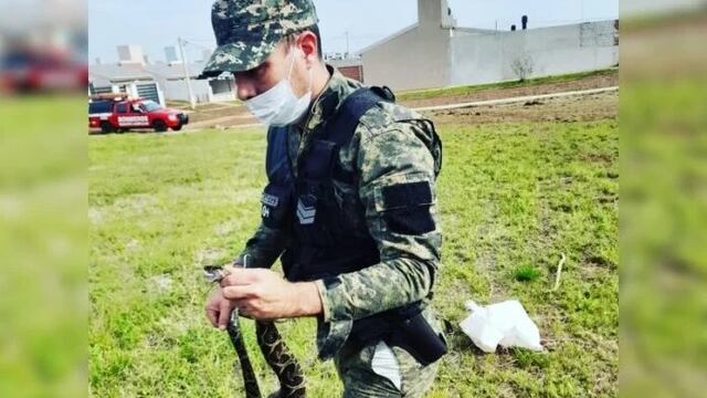 Resguardaron a una serpiente que estaba en un espacio verde en Itaembé Guazú.