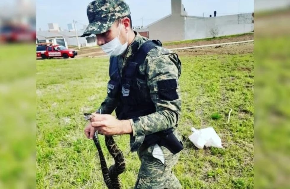 Resguardaron a una serpiente que estaba en un espacio verde en Itaembé Guazú
