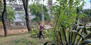 Un grupo de alrededor de 13 beneficiarios realizaron obras de limpieza y desmalezamiento.