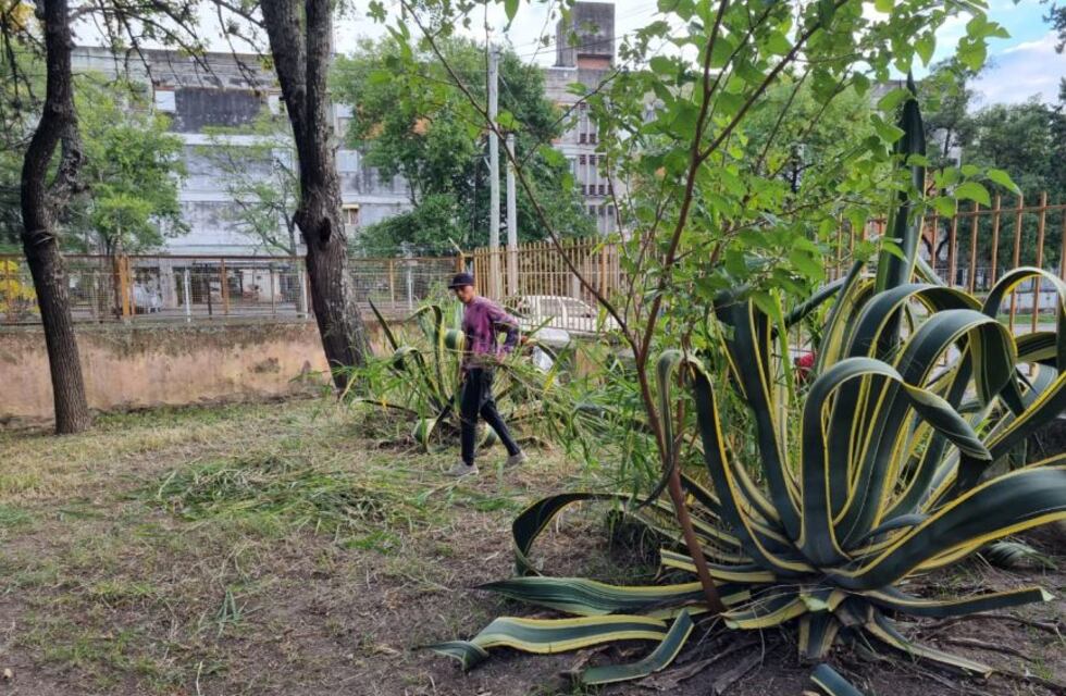 Jóvenes y adultos de movimientos sociales ayudan a recuperar la escuela Mariano Cabezón