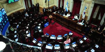 Sesión en el Senado - Foto: Clarín