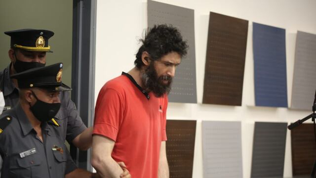 Gil Pereg, ingresando a la sala de debates maullando.