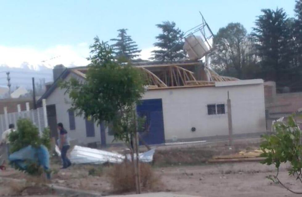 Viento intenso: ramas caídas y hasta una voladura de techo fue el saldo de las fuertes ráfagas