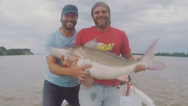 Manguruyú en el Río Paraná