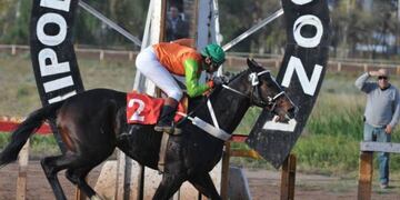 Este domingo regresan las carreras del caballos al hipódromo. Las comtenecias se podrán ver por YouTube. Gentileza Los Andes