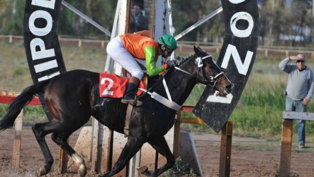 Este domingo regresan las carreras del caballos al hipódromo. Las comtenecias se podrán ver por YouTube. Gentileza Los Andes