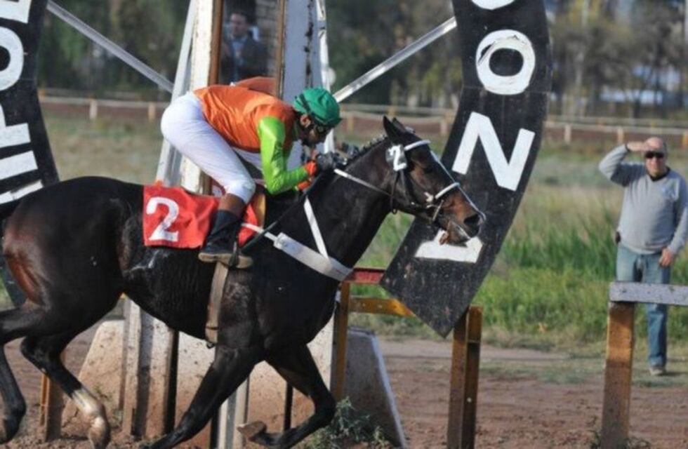El domingo vuelve el turf a Mendoza sin público, las carreras se verán por YouTube
