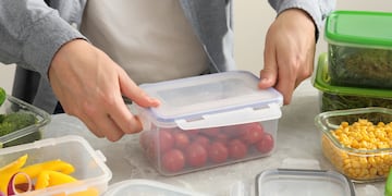 Viandas saludables y económicas para la colonia: el menú semanal ideal para economizar gastos y nutrir el organismo en el verano.