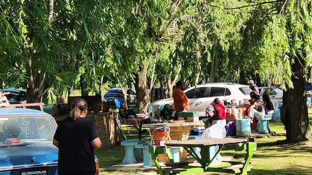 Ibicuy turismo: Histórico boom turístico en el Delta entrerriano