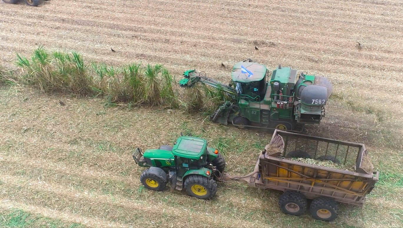 La zafra 2025 de Ledesma movilizó un importante despliegue logístico y humano que reflejó el esfuerzo colectivo de un equipo comprometido con la producción y la mejora continua, dijeron voceros de la empresa.