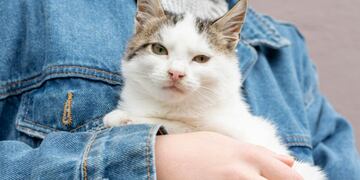 El animal causó furor en las redes y desató la risa de los usuarios.