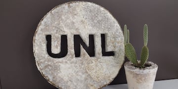 Desarrollan un telgopor ecológico a partir de cáscara de arroz