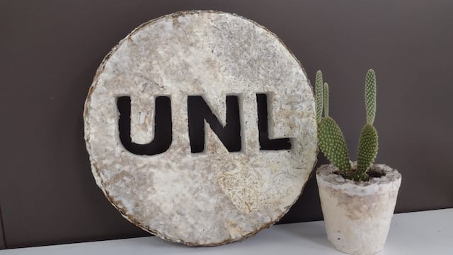 Desarrollan un telgopor ecológico a partir de cáscara de arroz