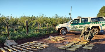Gendarmería secuestró más de 84 kilos de marihuana y detuvo a cuatro personas en San Vicente.
