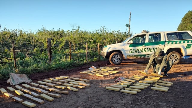 Gendarmería secuestró más de 84 kilos de marihuana y detuvo a cuatro personas en San Vicente.