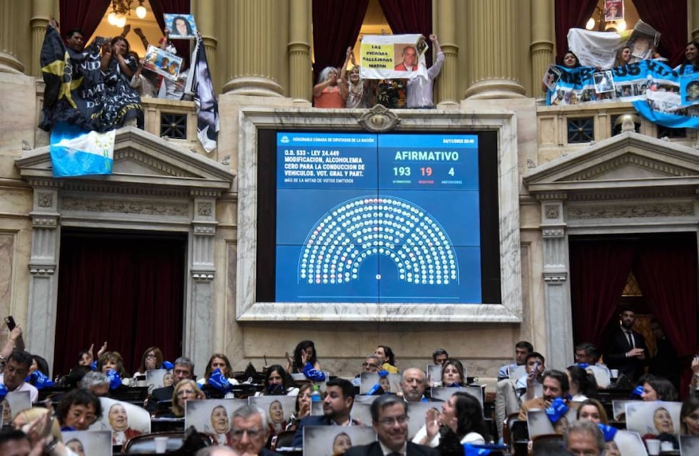 Alcohol cero: se aprobó en Diputados la reforma para prohibir por completo el consumo