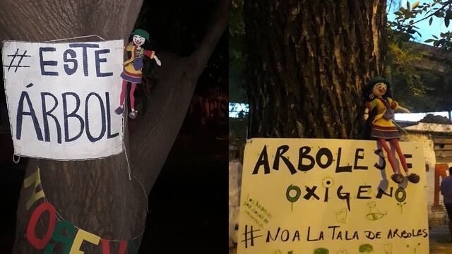 Este árbol no se va. Protesta de vecinos de bulevar Racedo ante el proyecto de ensanche.