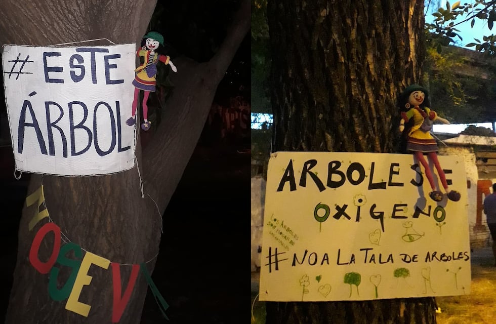 Vecinos de bulevar Racedo volvieron a protestar en contra del ensanche y la tala de árboles que proyecta el municipio