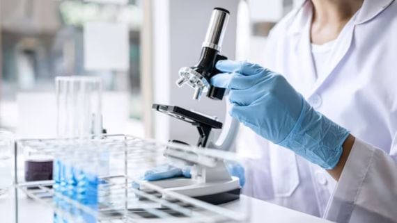 Dental y Mediquil SA.