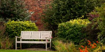 Los errores más comunes que arruinan la energía de tu patio, según el Feng Shui.