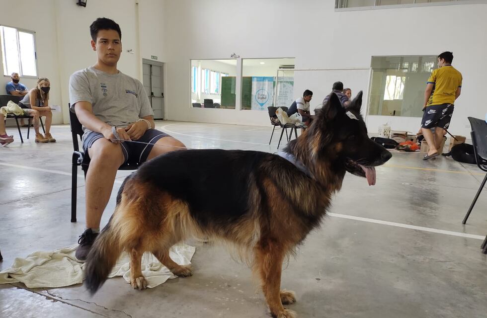 Nueva jornada especial de castraciones