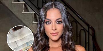 El truco definitivo de Emily Lucius para blanquear los repasadores y que queden como nuevos