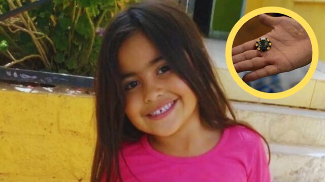 El caso de Guadalupe Lucero impulsó a estudiantes puntanos a crear chips geolocalizadores