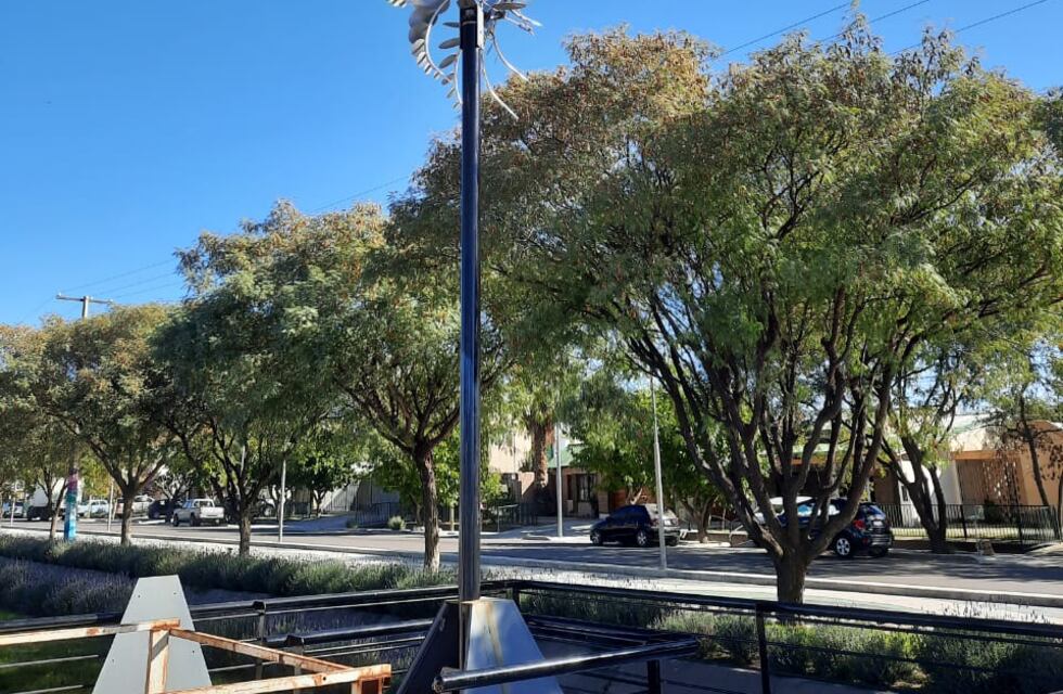 Papelón: la Municipalidad se adjudicó una obra de Anthony Howe y el artista denunció el plagio