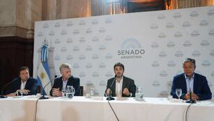 Los senadores patagónicos que responden a los gobernadores rechazaron el DNU casi en unanimidad. (Clarín)