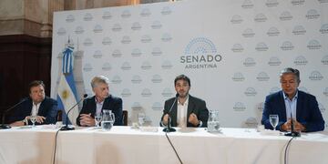 Los senadores patagónicos que responden a los gobernadores rechazaron el DNU casi en unanimidad. (Clarín)