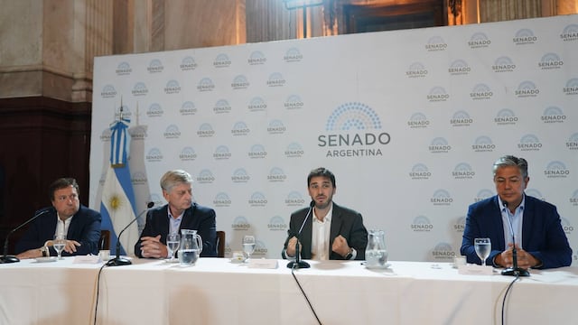 Los senadores patagónicos que responden a los gobernadores rechazaron el DNU casi en unanimidad. (Clarín)