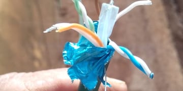 Puerto Iguazú: el IMAS denuncia actos de vandalismo.