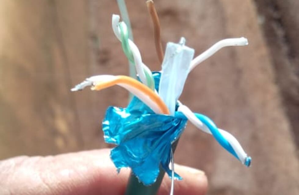 Puerto Iguazú: el IMAS denuncia actos de vandalismo