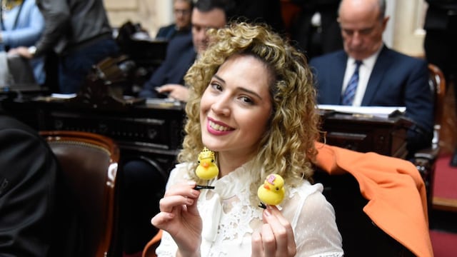 La diputada Lourdes Arrieta formó un monobloque llamado "Fuerzas del Cielo-Espacio Liberal"