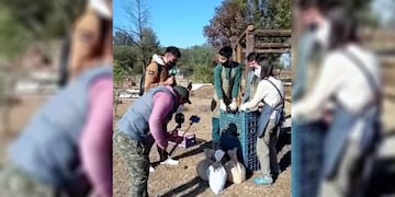 La Fundación de Equinoterapia del Azul trabaja brindando terapia y acompañamiento a niños con discapacidades mentales y motoras.