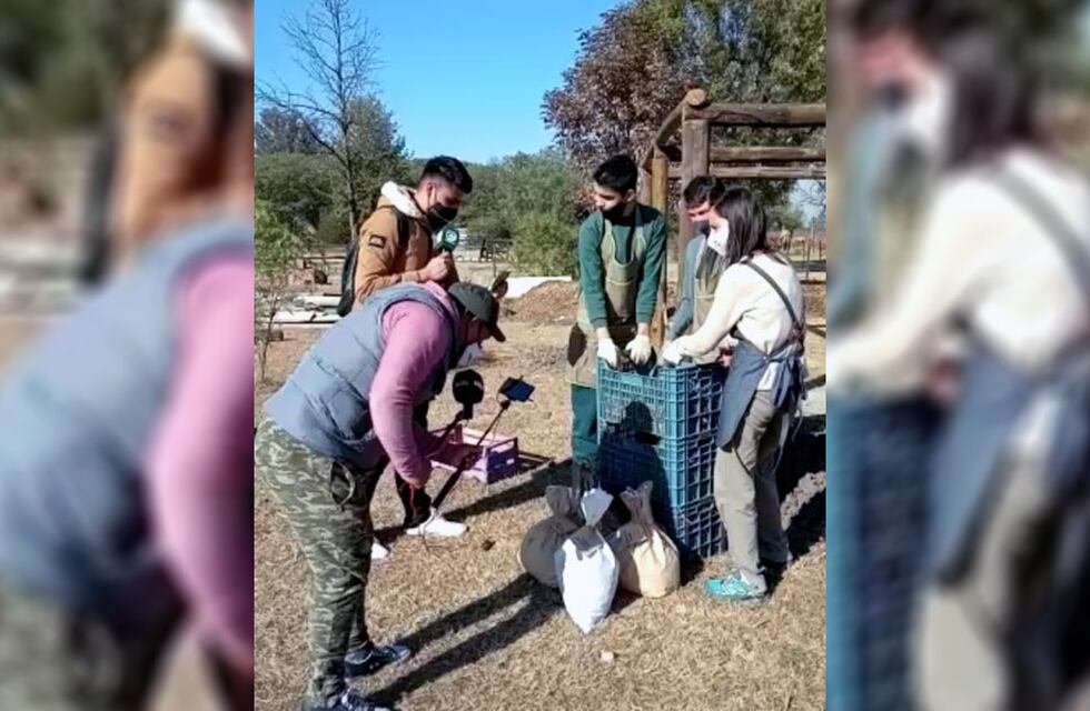 Gracias a una fundación niños salteños con discapacidades recaudan fondos vendiendo abono