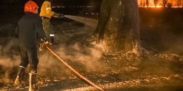 Los bomberos trabajaron arduamente para mitigar los efectos devastadores del fuego en el Parque Sarmiento.