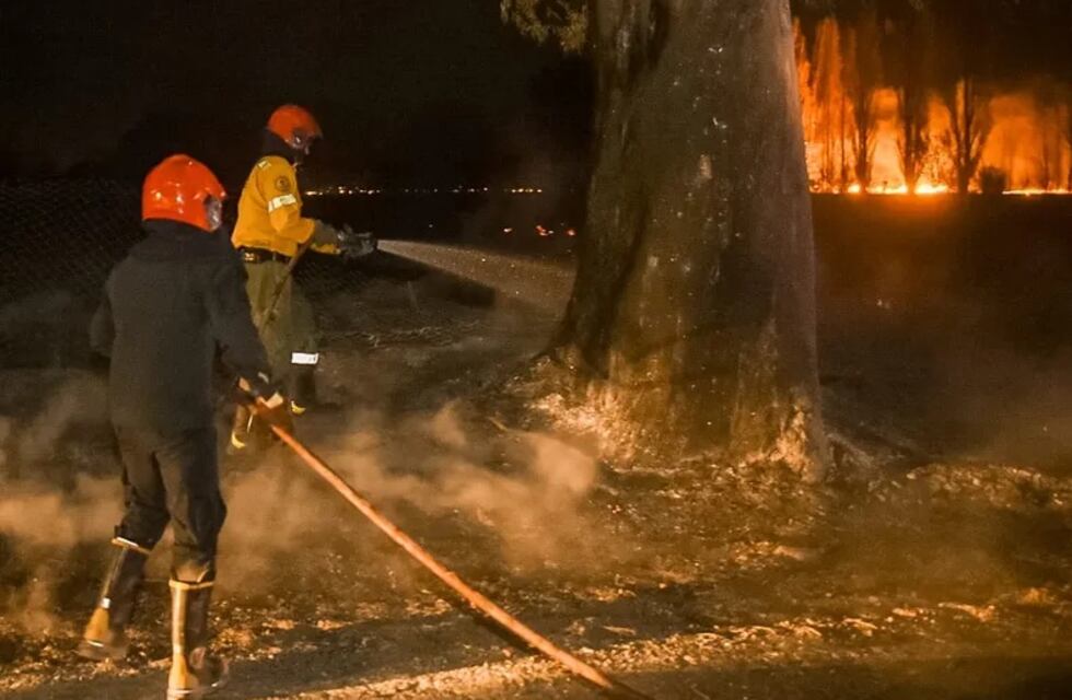 Por el viento Zonda, volvió a incendiarse el Parque Sarmiento