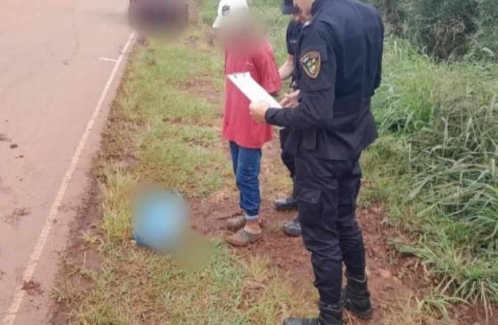 Comandante Andresito: detienen a un individuo tras sustraer un teléfono celular