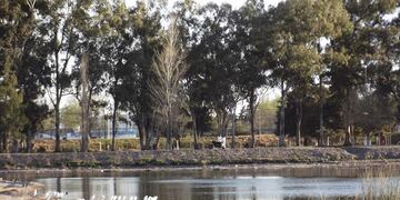 El animal en peligro de extinción fue divisado en el interior de la provincia de Córdoba. (Foto: Laboulaye.info)