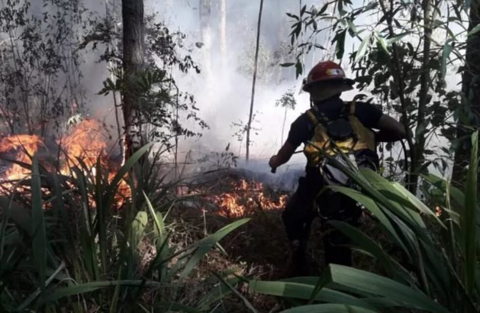 Varios focos ígneos tuvieron en vilo a la ciudad de Oberá