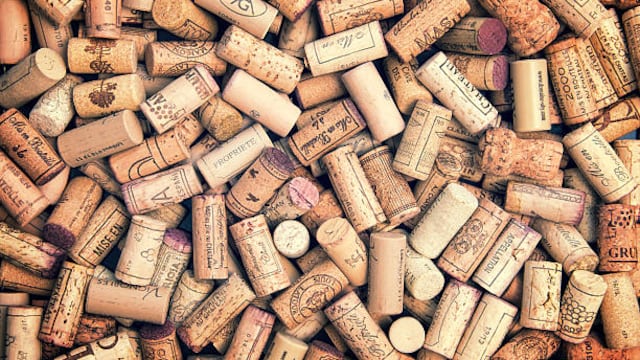 Colocar corchos en las ramas del limonero es un truco casero recomendado para proteger el árbol de plagas y mejorar el suelo.